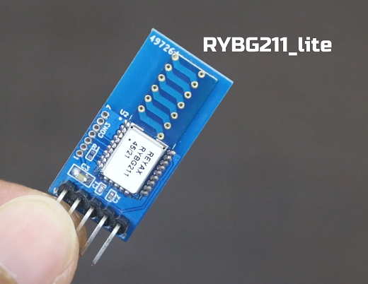 RYBG211_lite