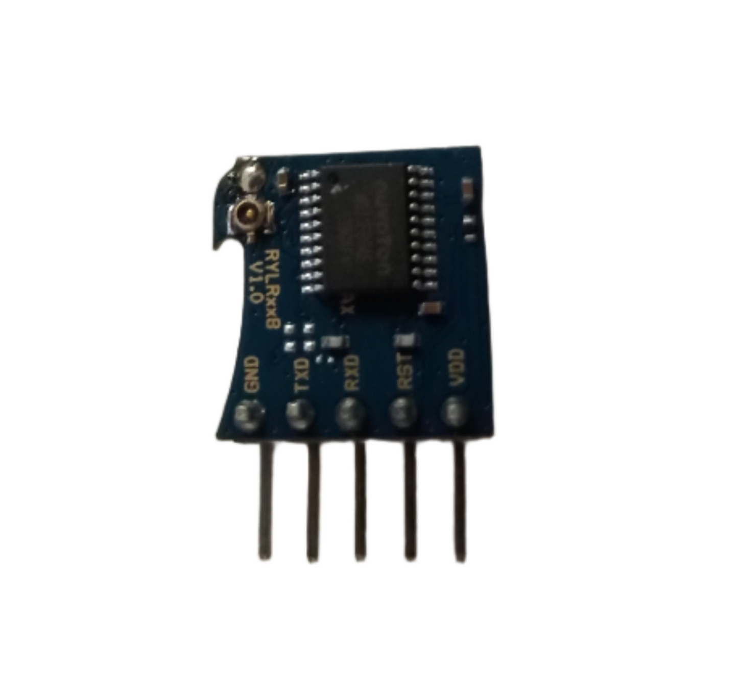 RYLR998_M4