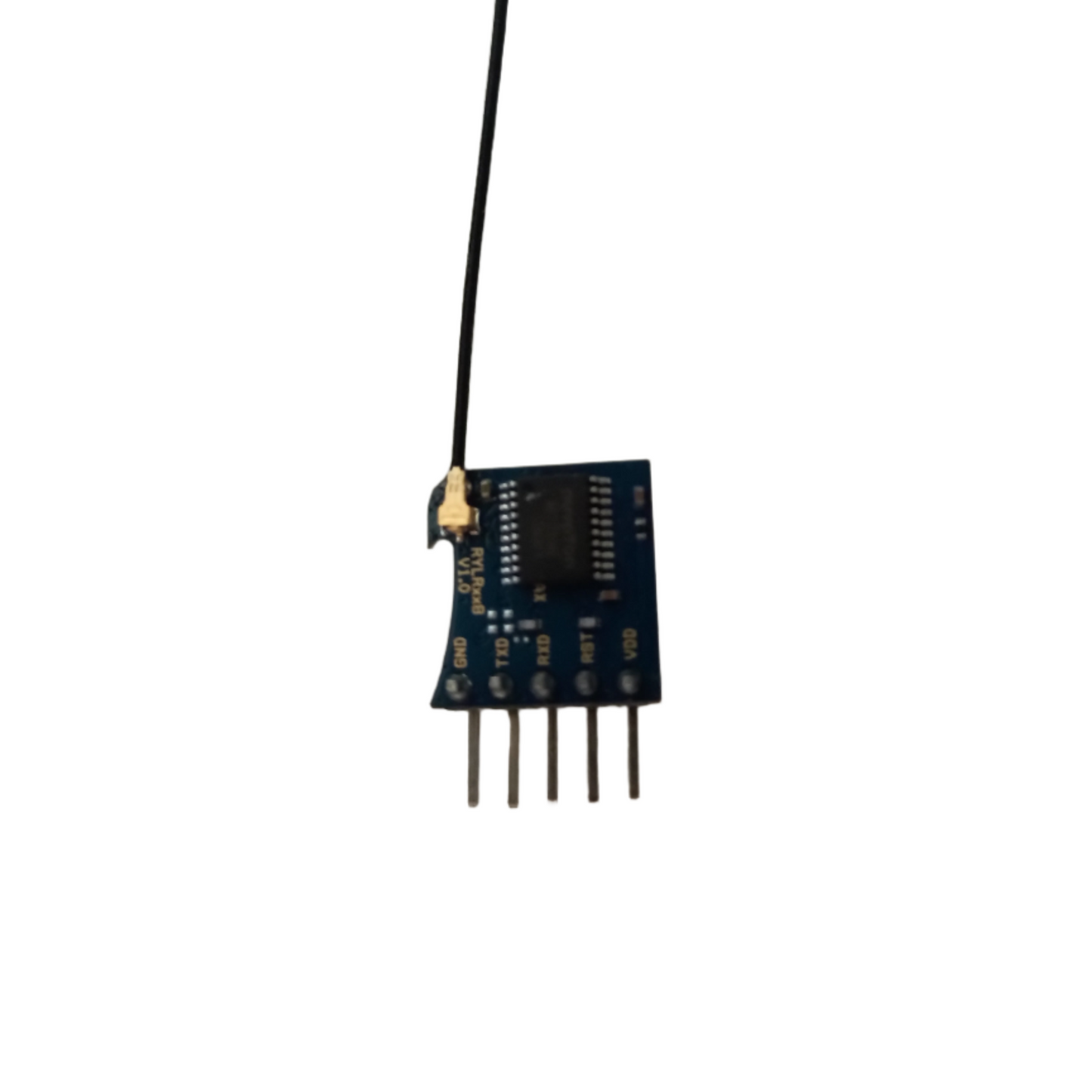 RYLR998_M4