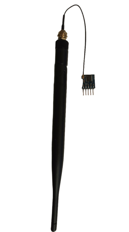 RYLR998_M4_Lite